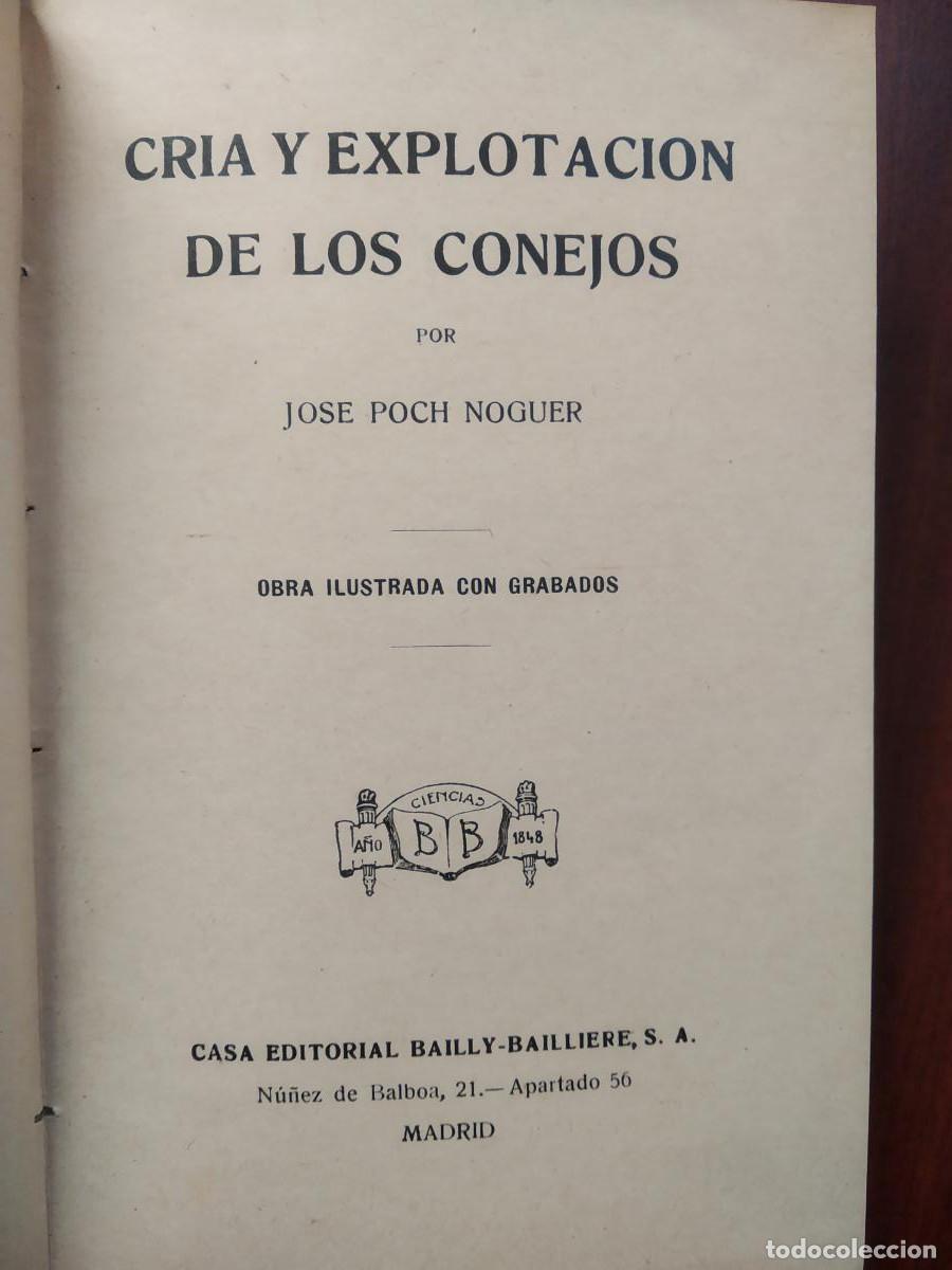 Libros: Cria y explotaci&oacute;n de los conejos - Poch Noguer, Jos&eacute; - Foto 5