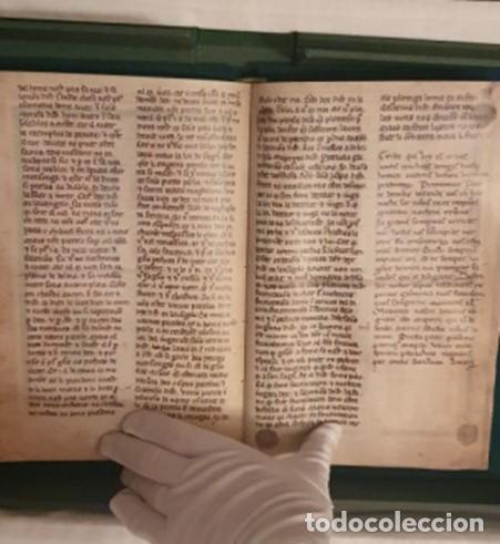 Libros: Biblia ilustrada de la Haya - - Foto 8