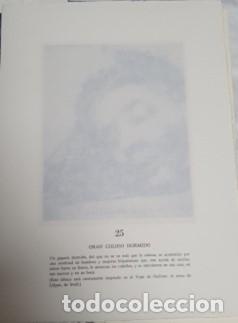 Libros: Nuevos Caprichos - De Goya, Francisco - Foto 9