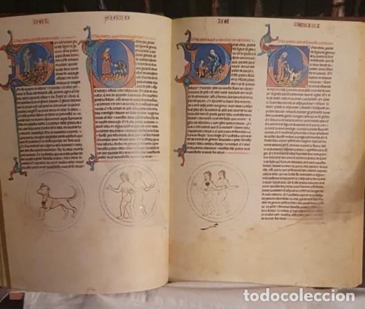 Libros: El Primer Lapidario del Rey Alfonso X el Sabio. - - Foto 6