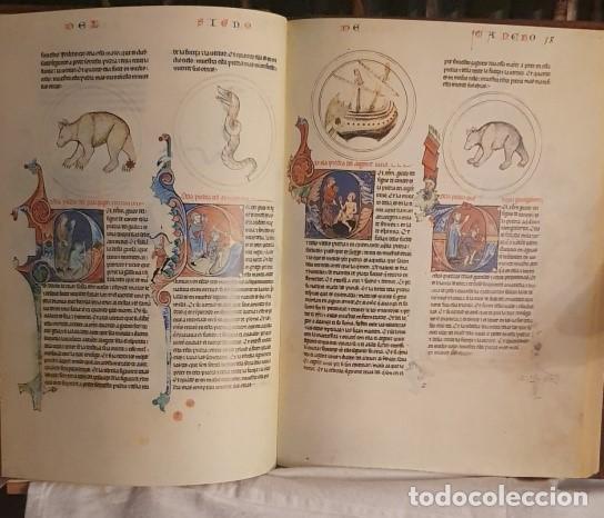 Libros: El Primer Lapidario del Rey Alfonso X el Sabio. - - Foto 7