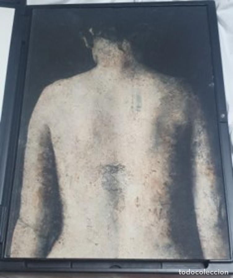 Libros: Cuerpos y Flores - Antonio L&oacute;pez - Foto 9