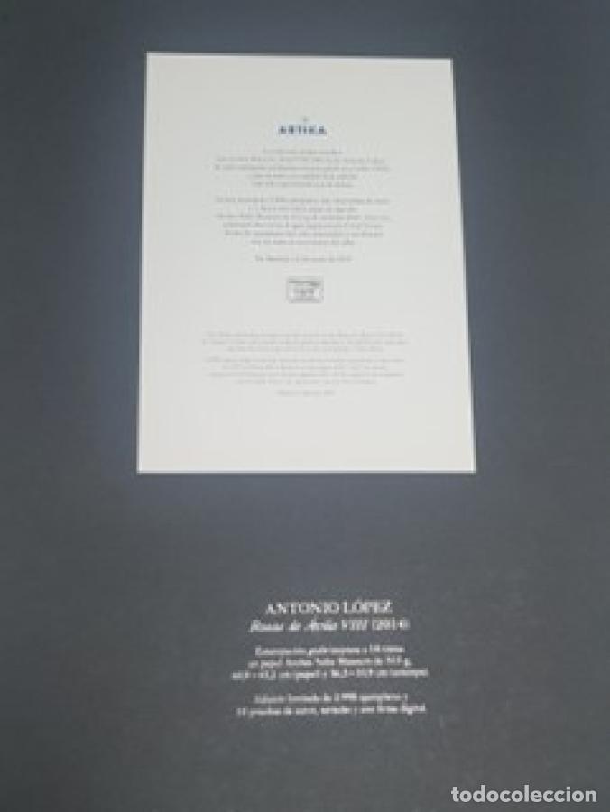 Libros: Cuerpos y Flores - Antonio L&oacute;pez - Foto 10