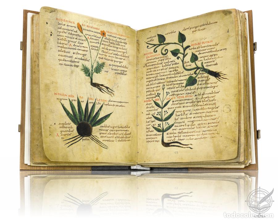 Libros: Herbolarium et Materia Medica - - Foto 3