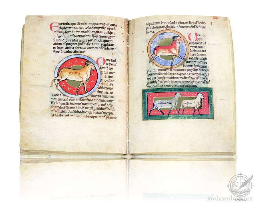 Libros: Bestiario de San Petersburgo - - Foto 3