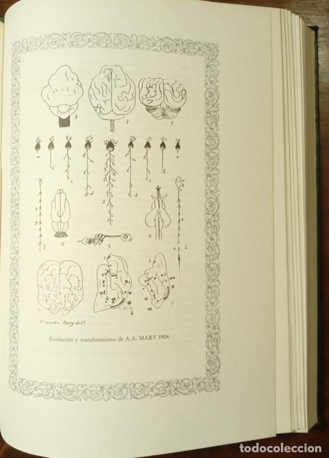 Libros: El origen de las especies - Darwin, Charles - Foto 4