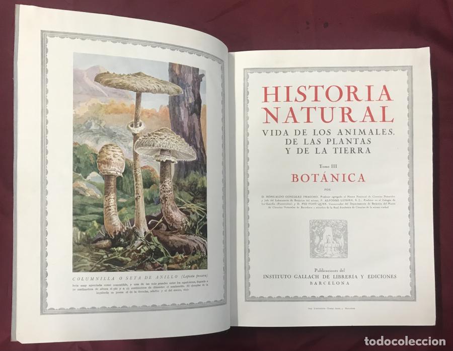 B&uuml;cher: HISTORIA NATURAL. VIDA DE LOS ANIMALES DE LAS PLANTAS Y DE LA TIERRA. TOMO III. BOTANICA - Rioja Lo-