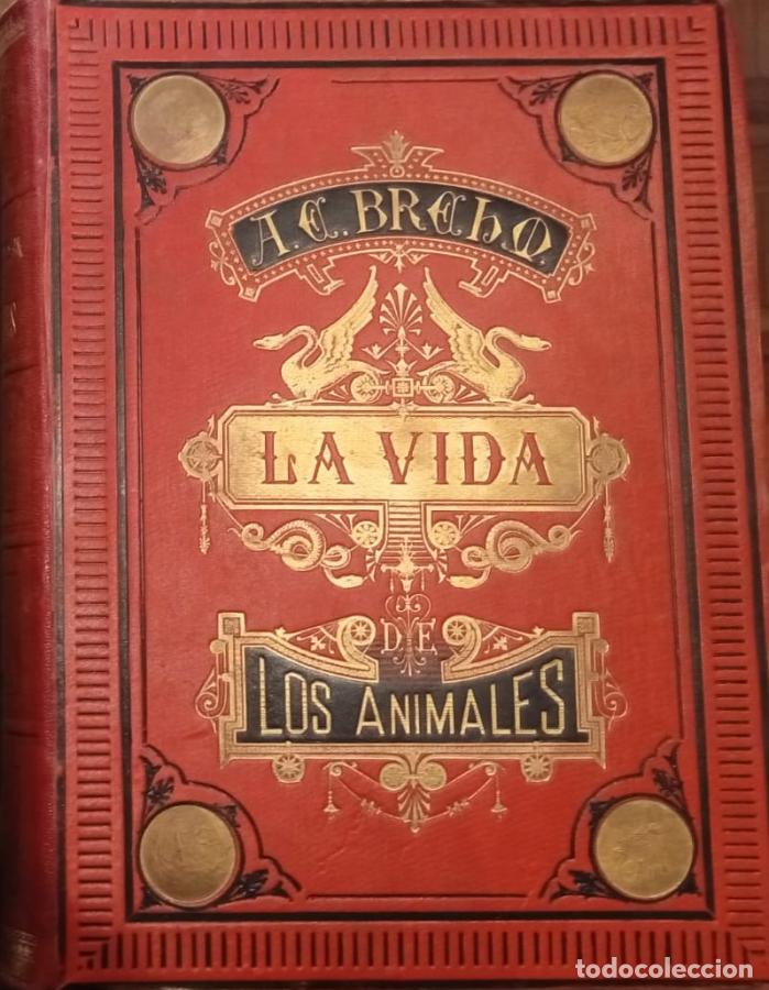 Libri di seconda mano: LA VIDA DE LOS ANIMALES, 6 TOMOS, CONOCIMIENTO GENERAL DEL REINO ANIMAL - BREHM Dr. A. E., por Don C