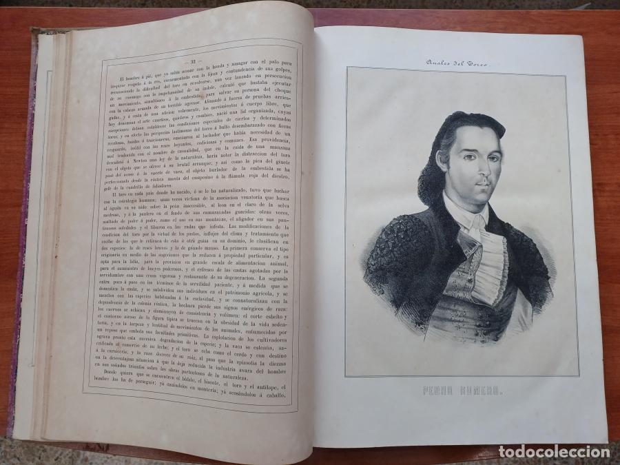 Libros: Anales del Toreo, - Velazquez y Sanchez, Jos&eacute; - Foto 8