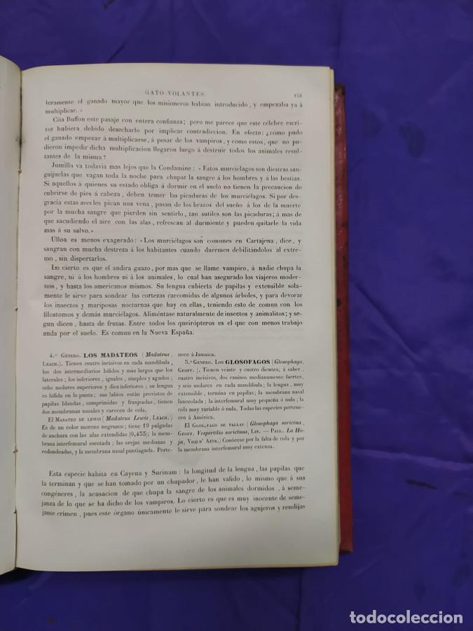 Libros: Museo de Historia natural - Boitard, M. - Foto 7
