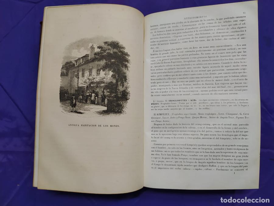Libros: Museo de Historia natural - Boitard, M. - Foto 8