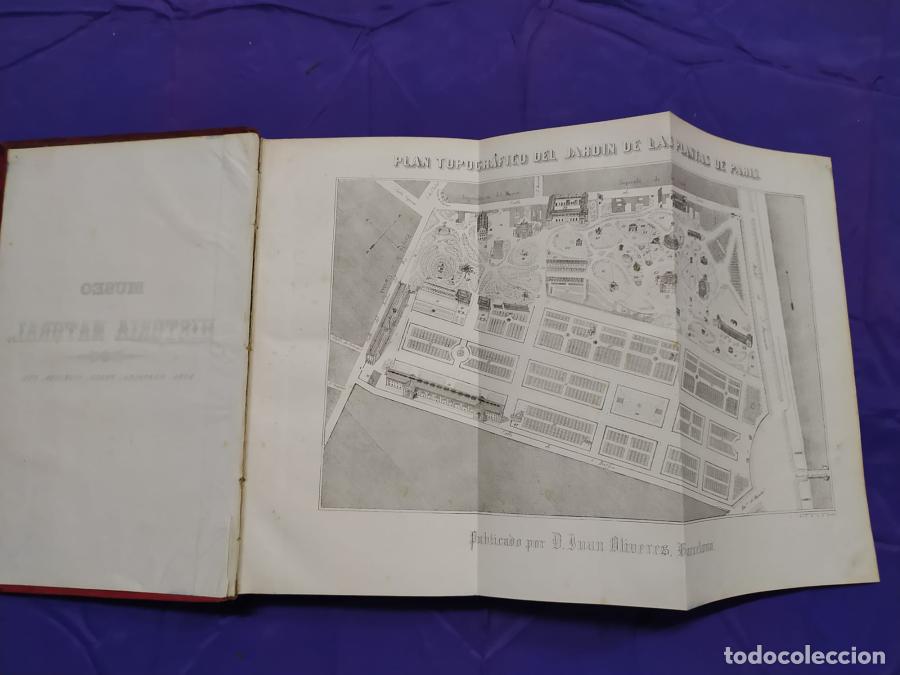 Libros: Museo de Historia natural - Boitard, M. - Foto 9