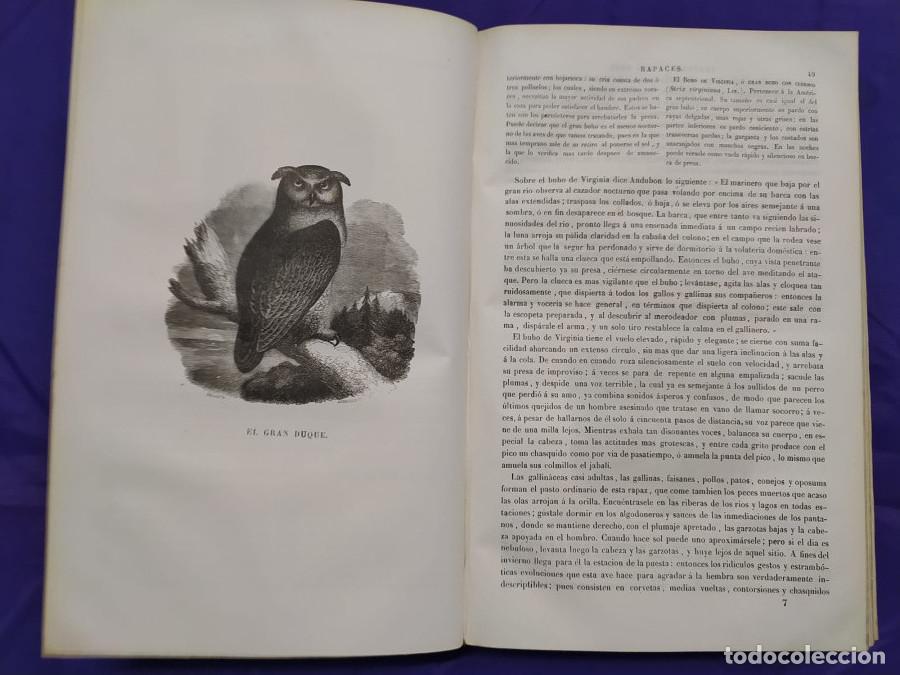 Libros: Museo de Historia natural - Boitard, M. - Foto 12