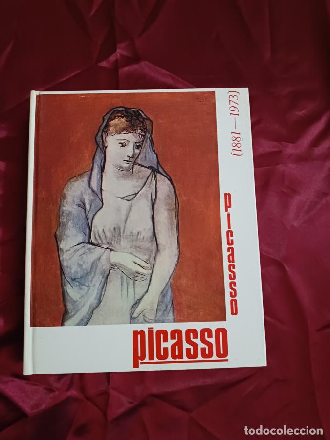 Libros: Conna&icirc;tre Picasso (1881-1973) - Porzio, Domenico; Valsecchi, Marco