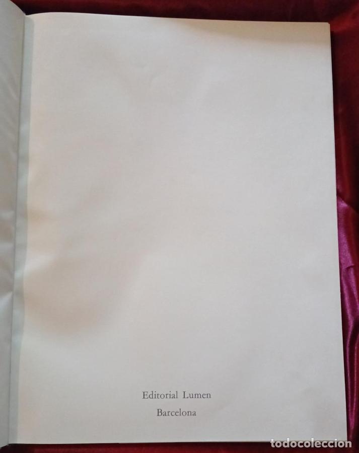 Libros: Nada personal. Este no es pais para el amor - Avedon, Richard - Foto 5