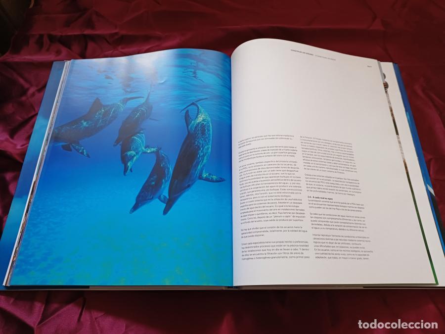 Libros: Parque Oceanogr&aacute;fico Universal de Valencia - Robles, Marta - Foto 4