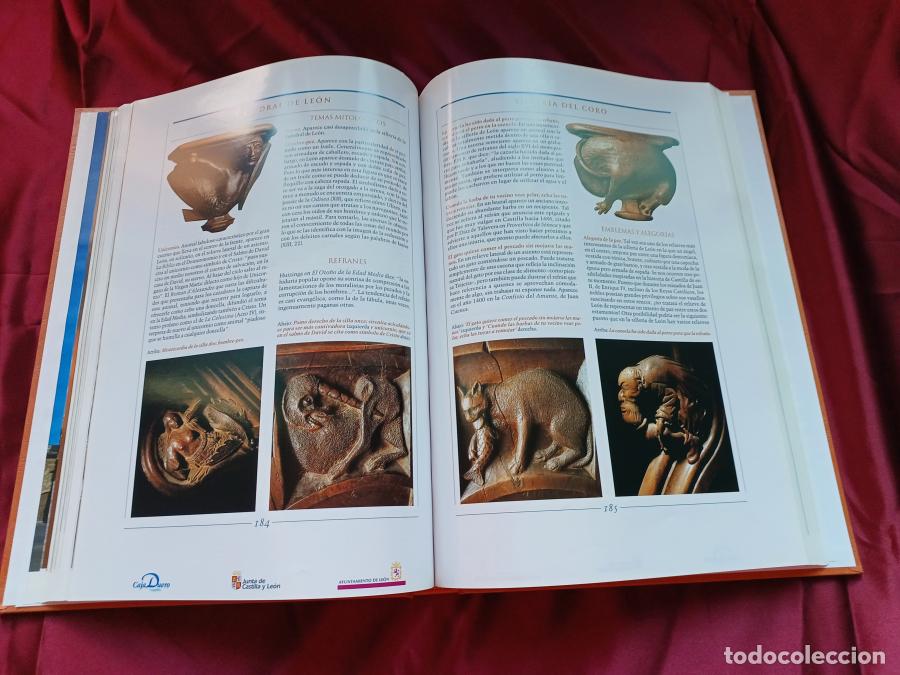 Libros: La catedral de Le&oacute;n. Mil a&ntilde;os de historia - VVAA - Foto 7