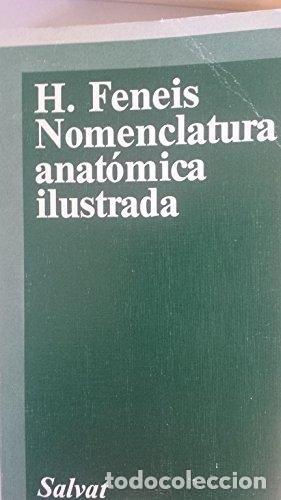 Libri di seconda mano: Nomenclatura anat&oacute;mica ilustrada - Feneis, Heinz
