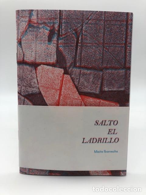 Libros: IBARRECHE, Maite. - Salto el ladrillo.