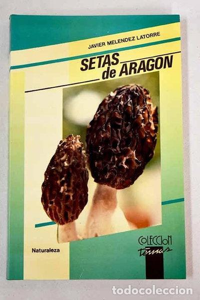 Libri di seconda mano: Setas de Arag&oacute;n- 9788486778118