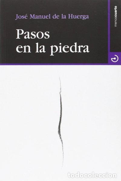 Libros: Pasos en la piedra- 9788415740322