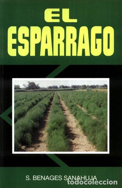 Libros: El esp&aacute;rrago- 9788471142986