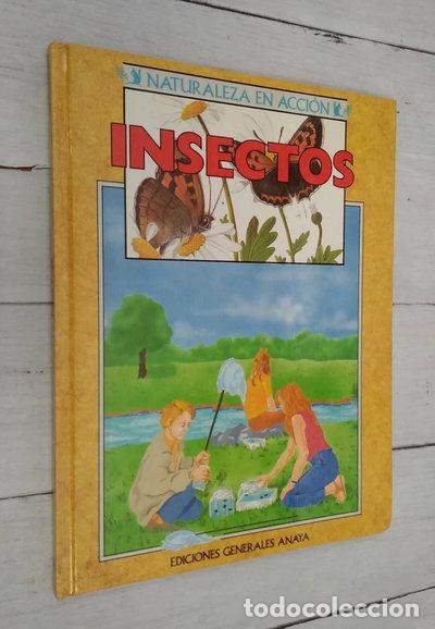 Libros: Insectos- 9788475252940