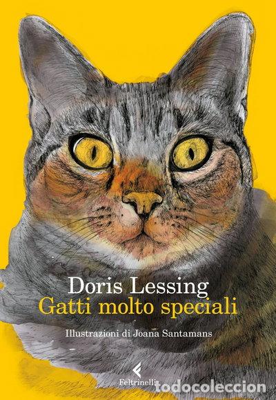 Libros: Gatti molto speciali- 9788807032684