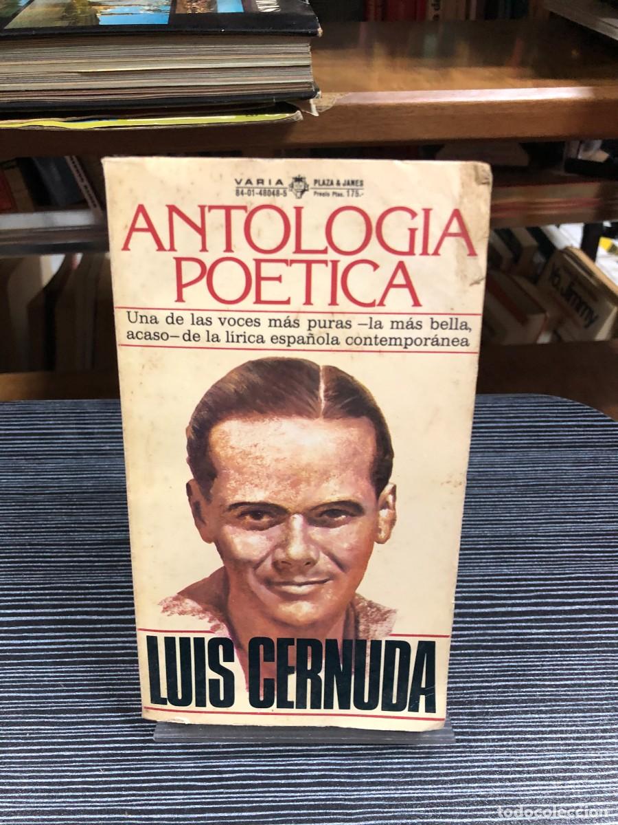 Libros: Antolog&iacute;a Po&eacute;tica Luis Cernuda - Foto 1