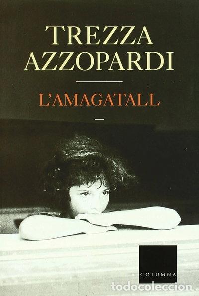 Livres: L'Amagatall- 9788466402491