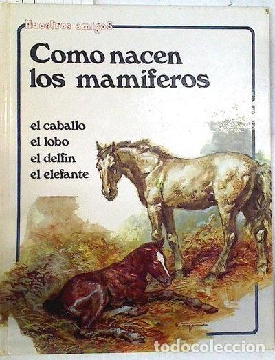 Libros: C&oacute;mo nacen los mam&iacute;feros- 9788472040823