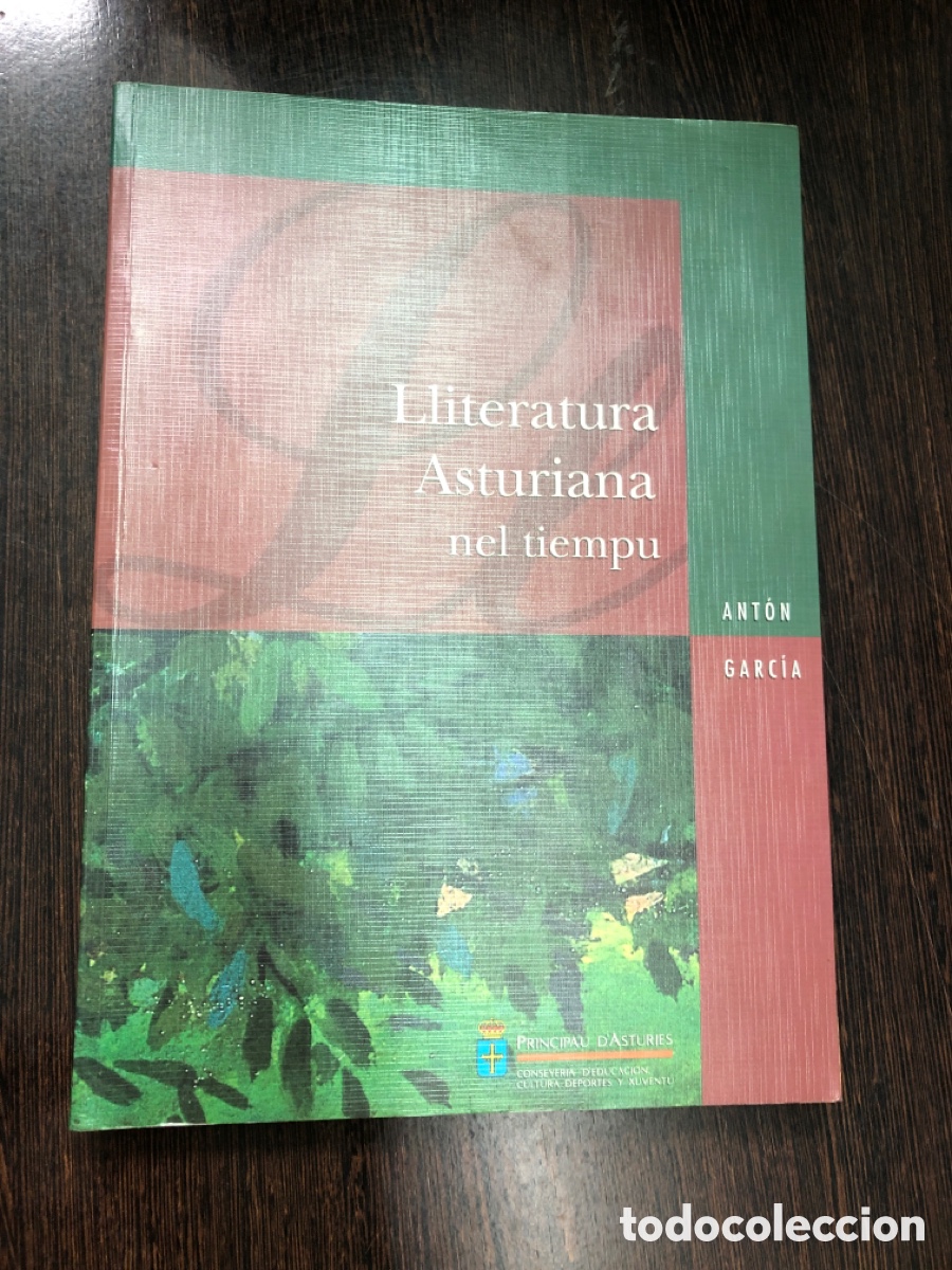 B&uuml;cher: LLITERATURA ASTURIANA NEL TIEMPU ANTON GARCIA SERVICIU PUBLICACIONES PRINCIPAU DASTURIAS