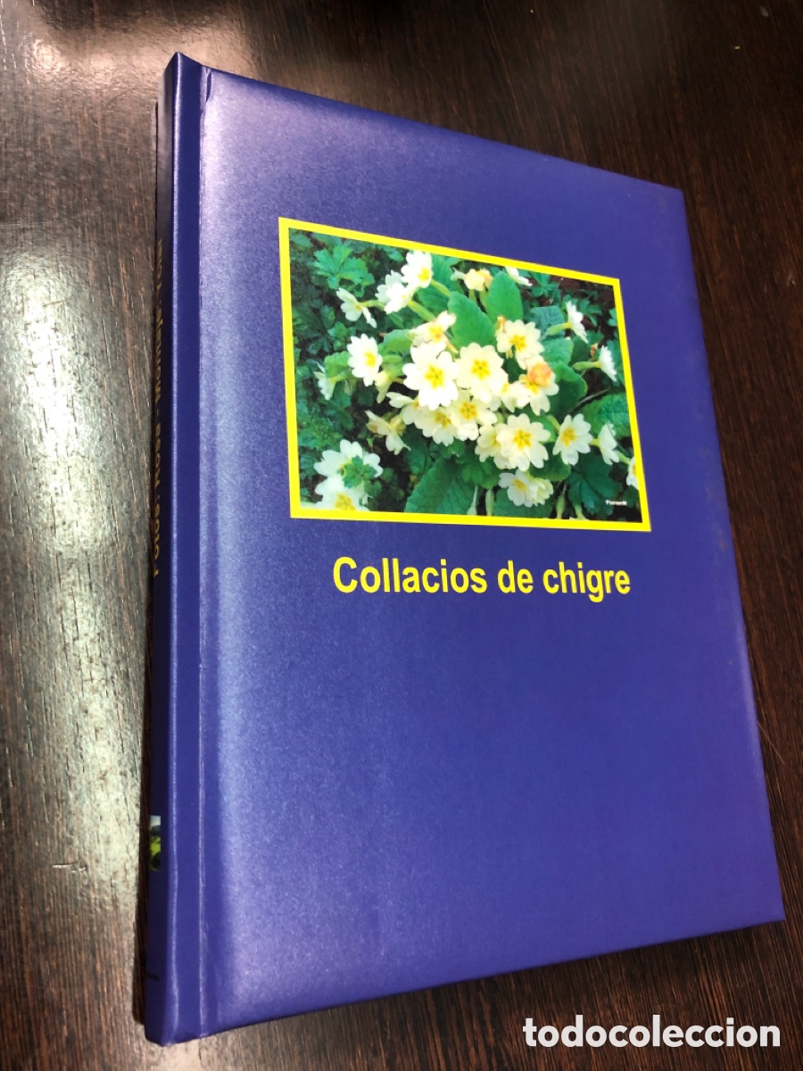Libros: COLLACIOS DE CHIGRE EDITORIAL HOFMANN Fotos Rosa Montaje Yciar