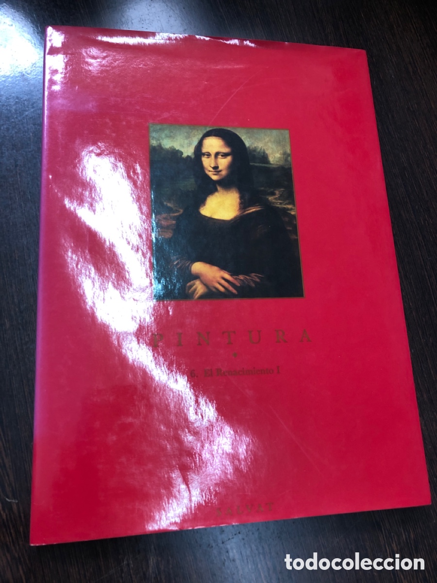 Libros: PINTURA 6 EL RENACIMIENTO I SALVAT