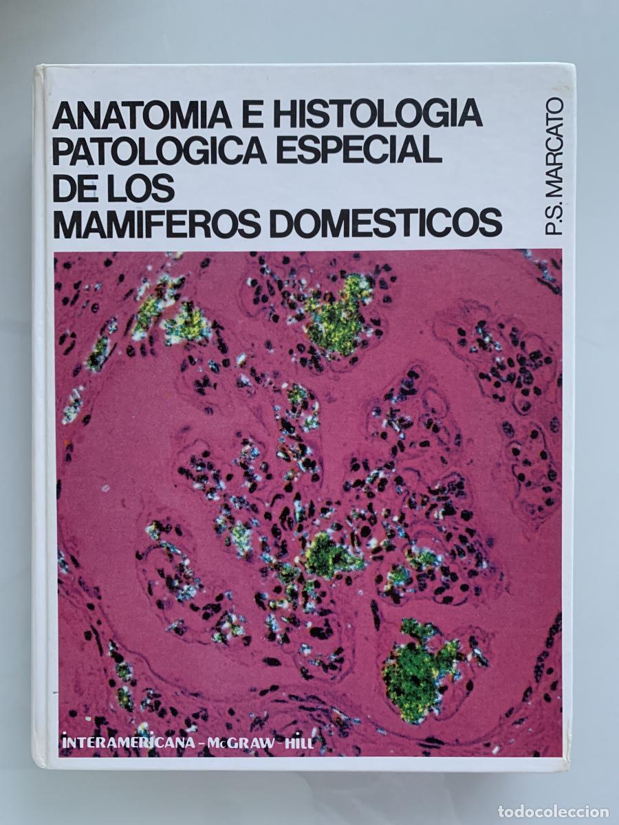 Libros: ANATOM&Iacute;A E HISTOLOG&Iacute;A. PATOL&Oacute;GICA ESPECIAL DE LOS MAM&Iacute;FEROS DOM&Eacute;STICOS - P. S. Marcato