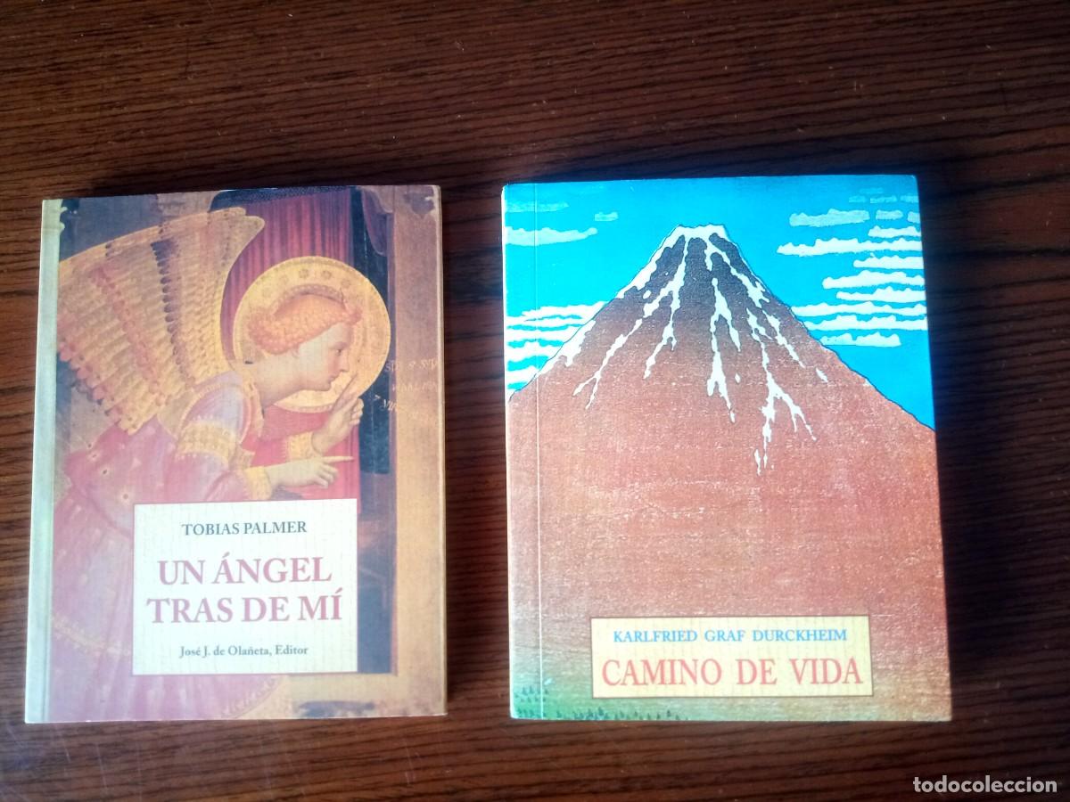 Livres: &rdquo;Un &aacute;ngel tras de mi&rdquo;, Tobias Palmer (Ola&ntilde;eta)