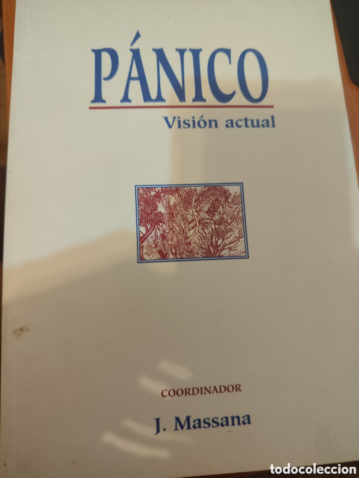 Libros: P&aacute;nico Visi&oacute;n actual