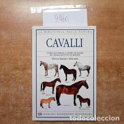 B&uuml;cher: Cavalli- 9788889180082