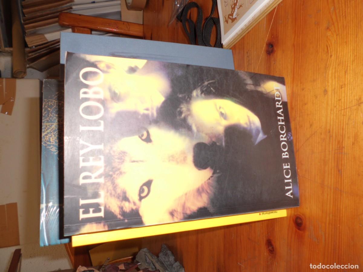 Libros: EL REY LOBO ALICE BORCHARD - Foto 1