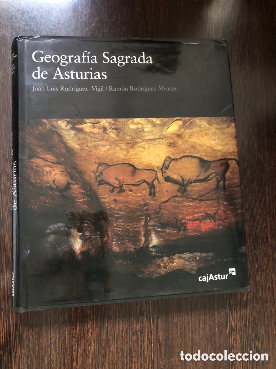 Libros: GEOGRAFIA SAGRADA DE ASTURIAS JUAN LUIS RODRIGUEZ VIGIL RAMON RODRIGUEZ ALVAREZ CAJASTUR