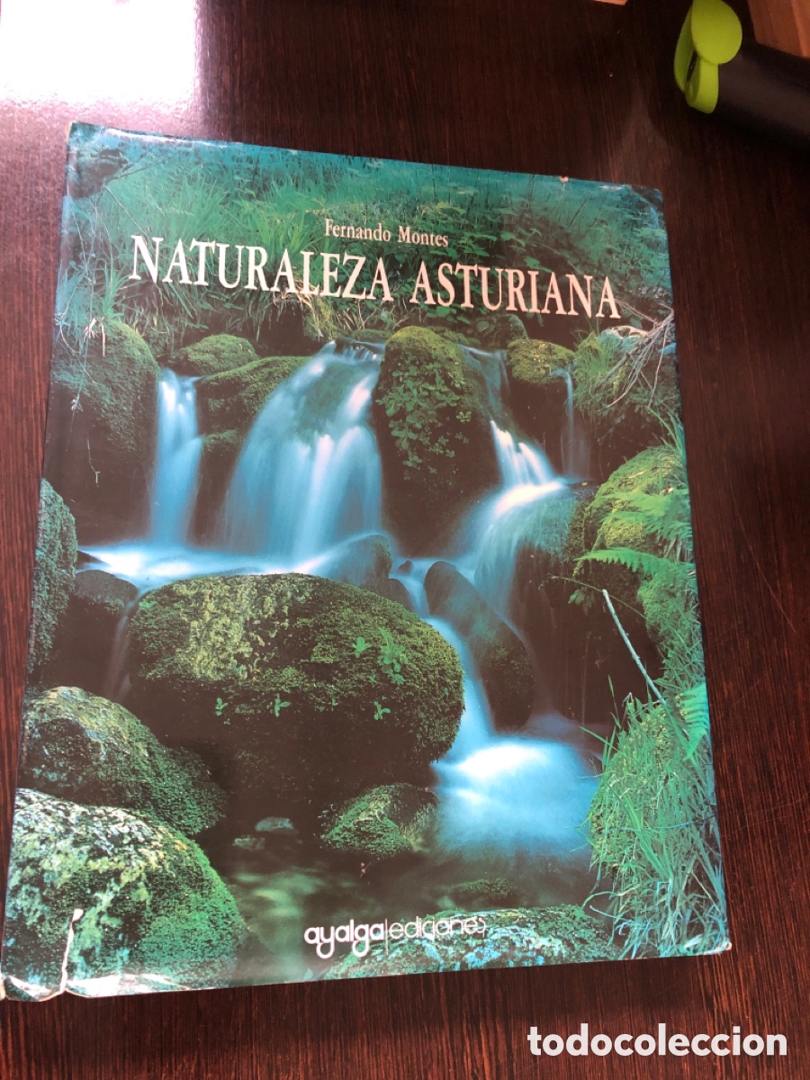 Libros: NATURALEZA ASTURIANA FERNANDO MONTES AYALGA EDICIONES