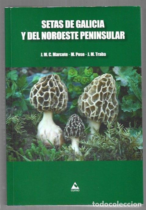 books: SETAS DE GALICIA Y DEL NOROESTE PENINSULAR - J. M. C. MARCOTE / M. POSE / J. M. TRABA