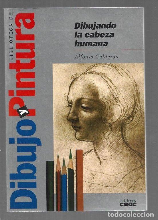 Livros em segunda m&atilde;o: DIBUJANDO LA CABEZA HUMANA - CALDERON, ALFONSO