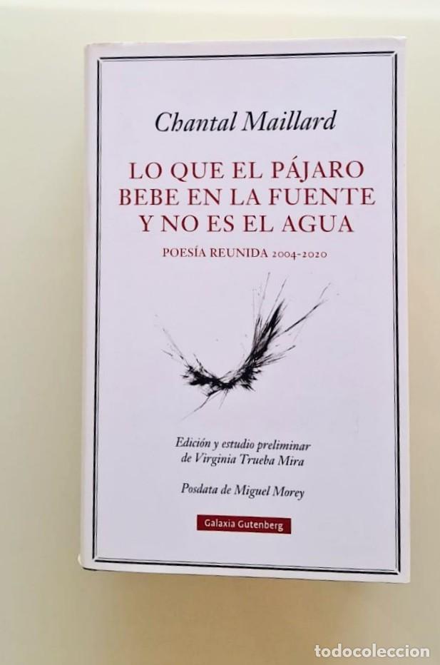 Libros: Lo que el p&aacute;jaro beb&eacute; en la fuente y no es el agua, poes&iacute;a reunida Chantal Maillard. Tapa dura