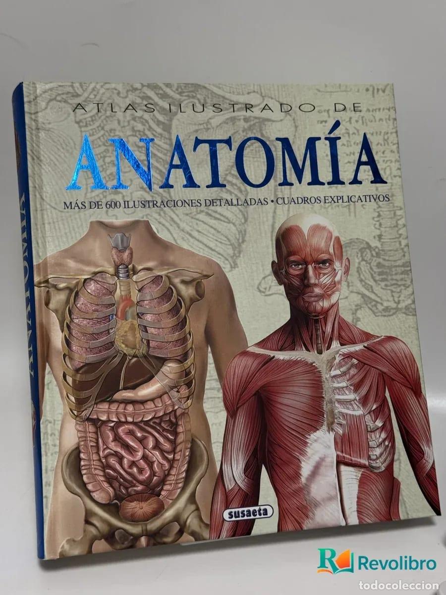 Libros: Atlas Ilustrado de Anatom&iacute;a - Adriana Rigutti