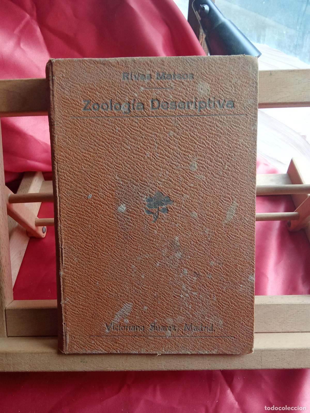 Libros: Zoologia descriptiva. Rivas Mateos L.12229-876