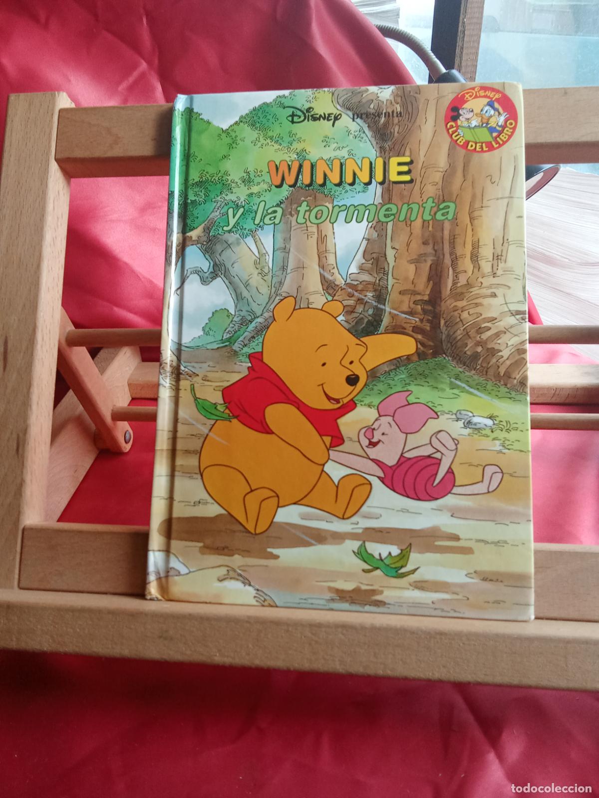 Libros: Winnie y la tormenta. Disney L.12229-881