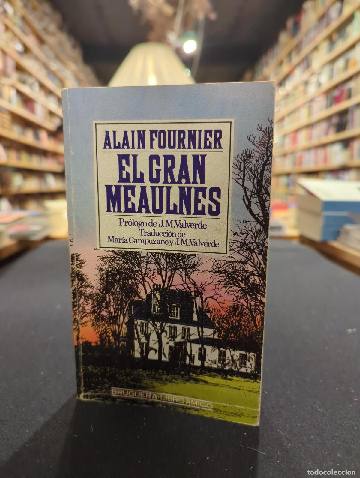 B&uuml;cher: El gran Meaulnes - Alain Fournier