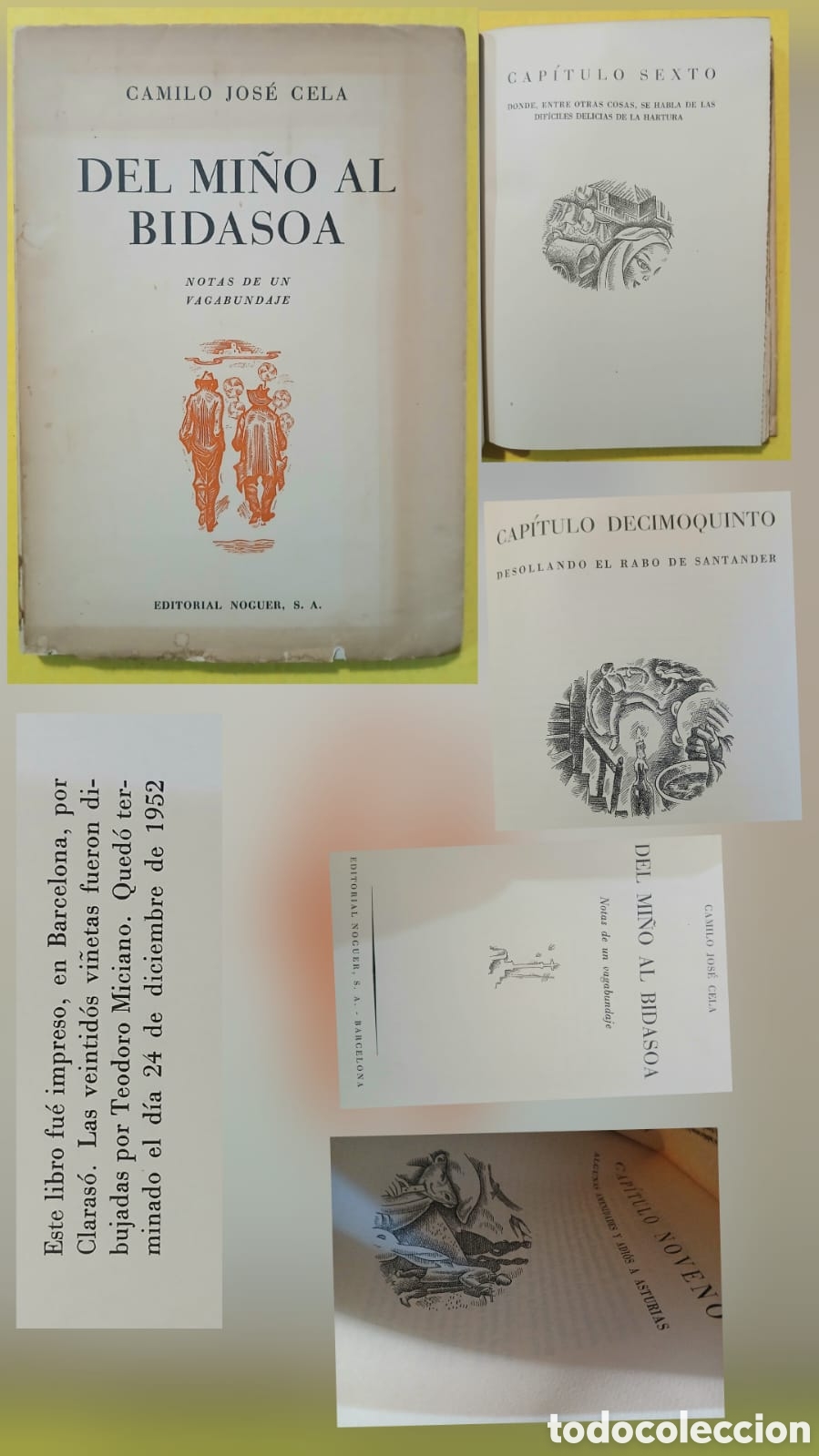 Libros: Del Mi&ntilde;o al Bidasoa, Camilo Jos&eacute; Cela