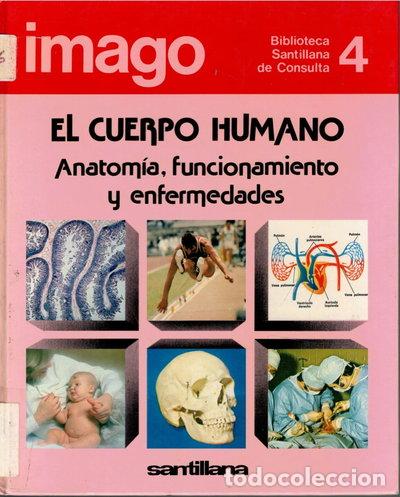 Libros: El cuerpo humano: anatom&iacute;a, funcionamiento y enfermedades- 9788429421804
